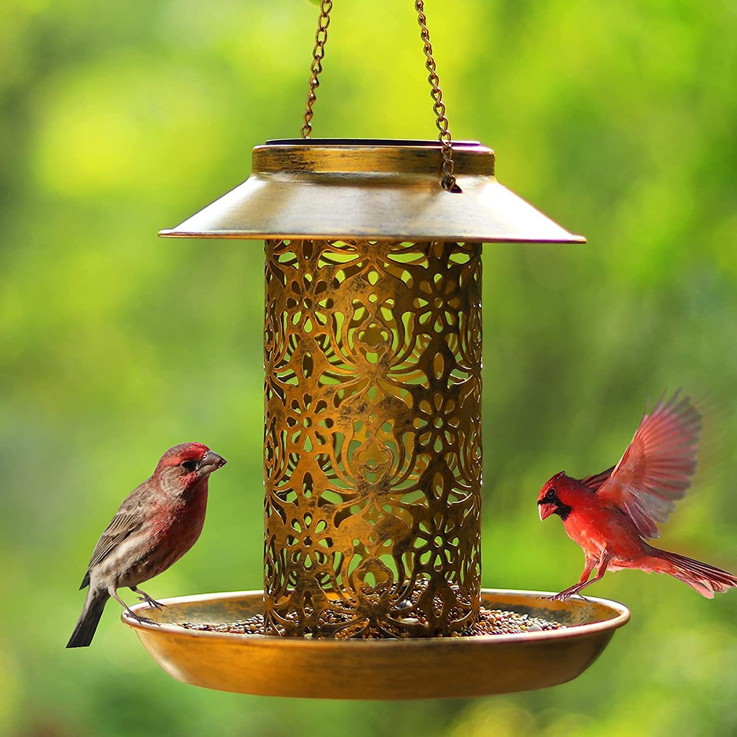 Outdoor Lighting Backyard Ideas - Hangend vogelhuis Metaal buiten Zonne-vogelvoeder met