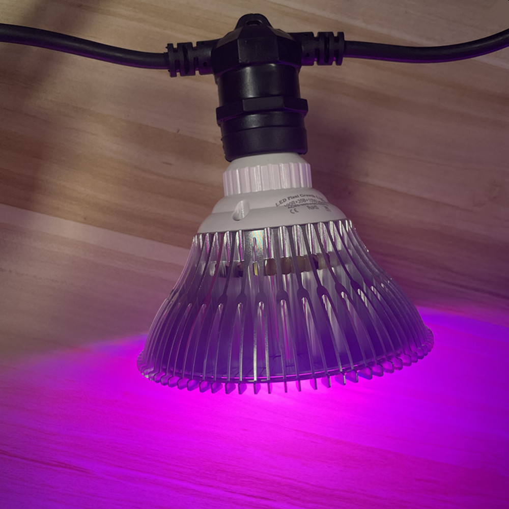 10M kabel LED-slinger van comm - Outdoor Lighting Socket recensie en prijs
