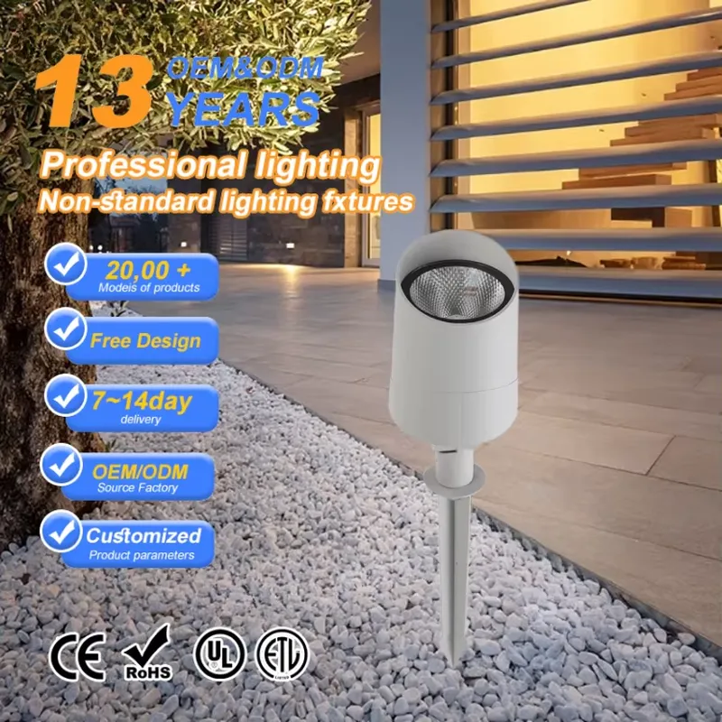 Meest populaire 9W-40W COB Out - Led Flood Light recensie en prijs